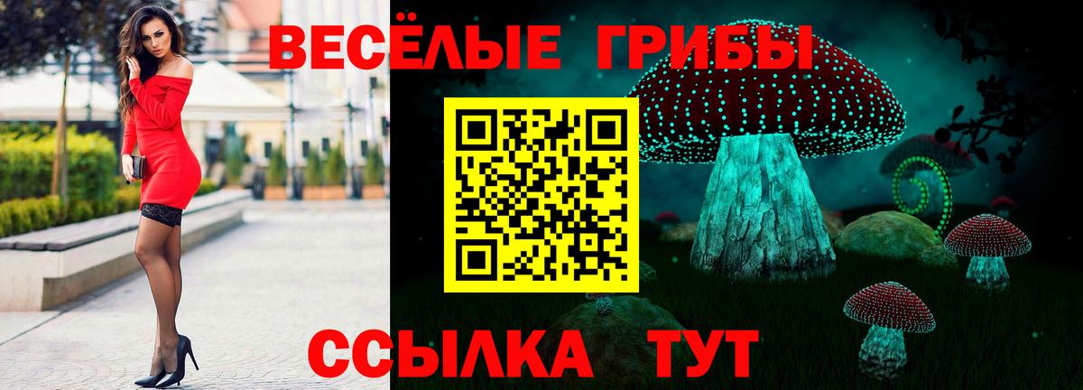 Псилоцибиновые грибы Psilocybine cubensis  Вход с VPN  Дальнереченск 